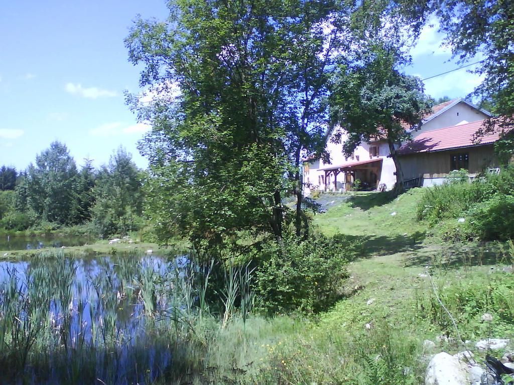 Gites De La Racine Girmont-Val-dʼAjol Esterno foto